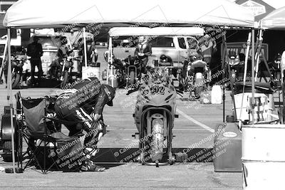 media/Mar-08-2025-TrackXperience (Sat) [[277b597a28]]/1-Around the Pits - Pre Grid/